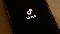 Banned but paying taxes – TikTok listed among Uzbekistan’s major e-service taxpayers