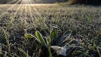 Chile and Argentina among coldest places on Earth as polar anticyclone grips region