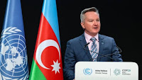 Australia hoped hosting a Cop climate summit was a done deal. But one nation still stands in the way