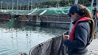 Chilean courts confirm several Sernapesca fines against salmon sector