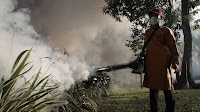 Dengue