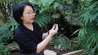 Using laser and diamond technology to simulate meteorite impacts