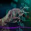 Sensex gains 485 points, Nifty 50 ends above 25,700; what drove the Indian stock market higher? 5 key factors explained