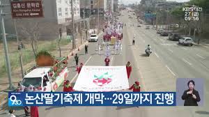 논산딸기축제 아이콘