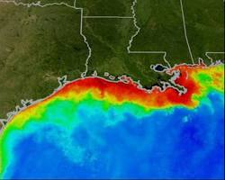Image of Gulf of Mexico dead zone
