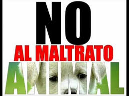 Resultado de imagen para IMAGENES SOBRE NO AL MALTRATO ANIMAL