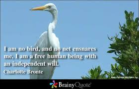 Famous quotes about &#39;Bird&#39; - QuotationOf . COM via Relatably.com