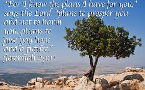 Image result for images for jeremiah 29:11