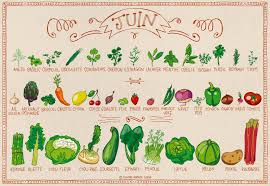 Résultat de recherche d'images pour "fruits et légumes avril"