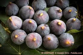 Risultati immagini per fico brogiotto