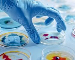 Pharmaceutical Microbiology