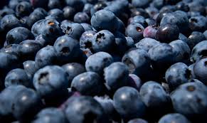 Thousands of blueberries recalled as FDA issues highest risk warning