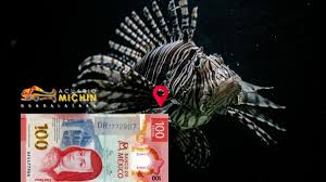 Acuario Michin de Guadalajara ofrece entradas a 99 pesos