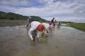 India’s Key Monsoon Rains Set to Arrive Days After Typical Start