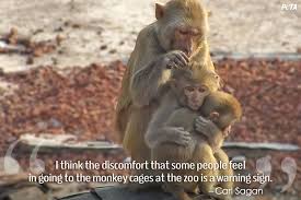 9 Quotes That Will Change What You Think About Zoos | Features | PETA via Relatably.com
