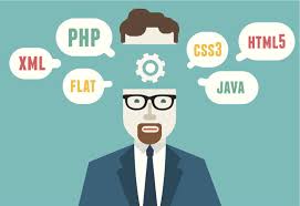 Image result for software developer