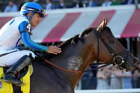 Report: Book'em Danno Could Miss Breeders' Cup Sprint