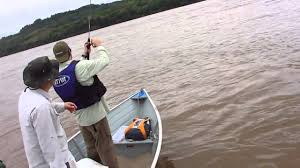 Resultado de imagem para pesca rs