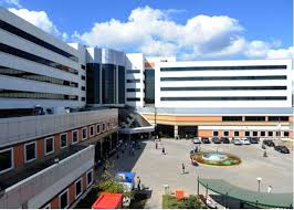 Kocaeli Koz - News update