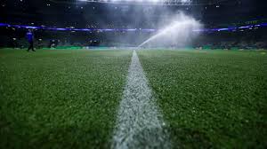 O detalhe de novo gramado do Allianz Parque que deve dar fim a 'incômodo' na torcida do Palmeiras
