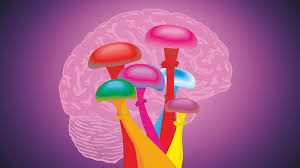 

Exploring the Potential of Psychedelic Fungi in Mental Health Treatment