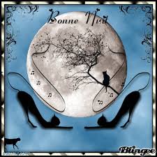 Résultat de recherche d'images pour "gif nuit magique de chats"