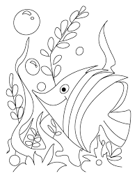 fish coloring pages ile ilgili görsel sonucu