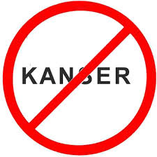 Image result for kanser