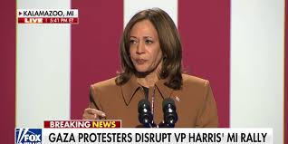 Protesters interrupt Kamala Harris' Michigan rally: 'No more Gaza war!'