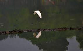 Image result for হাট বাজার নীতিমালা