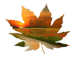 Résultat de recherche d'images pour "bonne soirée"