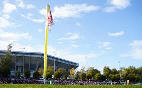 1. FC Kaiserslautern - News update