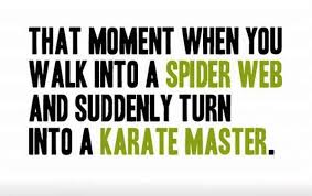 Spider Web Karate Master | Quotes | Pinterest | Karate, Spider ... via Relatably.com