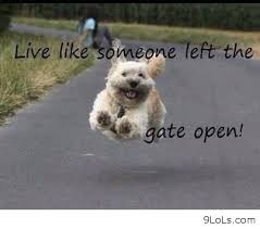Cute Silly Moments Quotes. QuotesGram via Relatably.com
