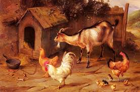 Image result for Goat and fowl