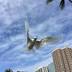 Native Birds Recolonize Urban Honolulu