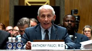 Dr. Anthony Fauci repeatedly invokes the Fifth in dramatic Senate hearing about Covid pandemic