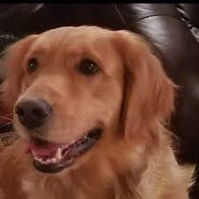 kathyg142 (@kathyg142) | TikTok