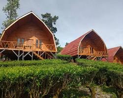Gambar Gunung Bangku Ciwidey Rancabali Camping Ground