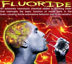 Image result for fluoride