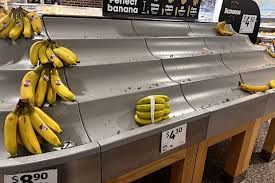 supermarket empty banana shelves australia