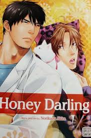 (Reseña) Honey Darling - honeypre