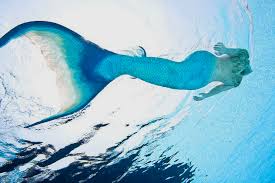 Image result for photos of swimming in the ocean
