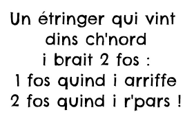 Résultat de recherche d'images pour "patois flamand humour"