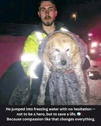 When no one else could reach her, he didn't think twice. 💔❄️ Fire Chief Steven Hatfield of the Sunshine Volunteer Fire Department became a true hero when a terrified dog, trapped in