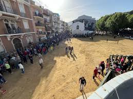 ganadero toros san roman