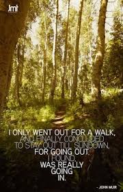 QUOTES ~ John Muir ☸ on Pinterest | John Muir, John Muir Trail ... via Relatably.com