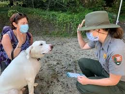 Carl Sandburg Home National Historic Site - Polly took the B.A.R.K. Ranger oath. Finn will wear the dog tag. | Facebook