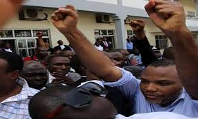 Image result for photos of nnamdi kanu