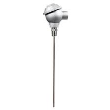 RTD Probe With Chemical-Resistant Cast Iron Protection Head